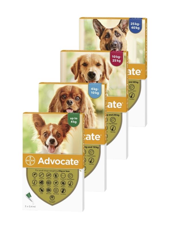 Advocate voor Honden